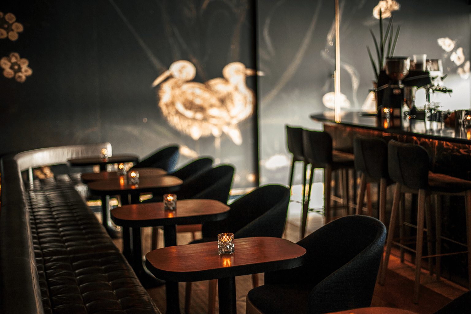 Alo - The Bar 2